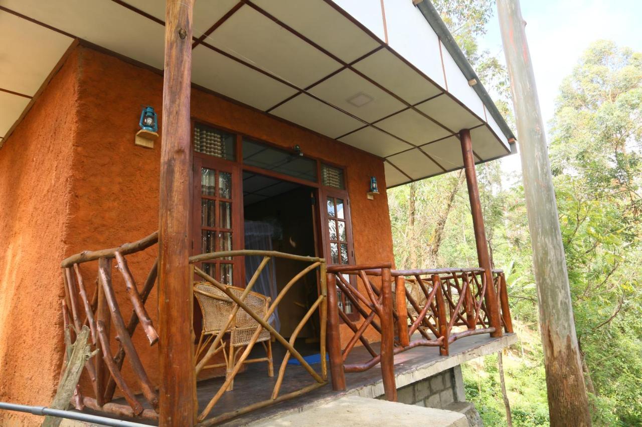 Birds Song Home Ella Ngoại thất bức ảnh