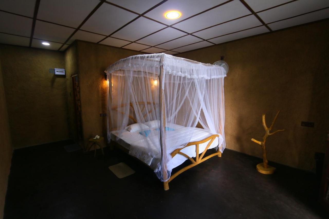 Birds Song Home Ella Ngoại thất bức ảnh